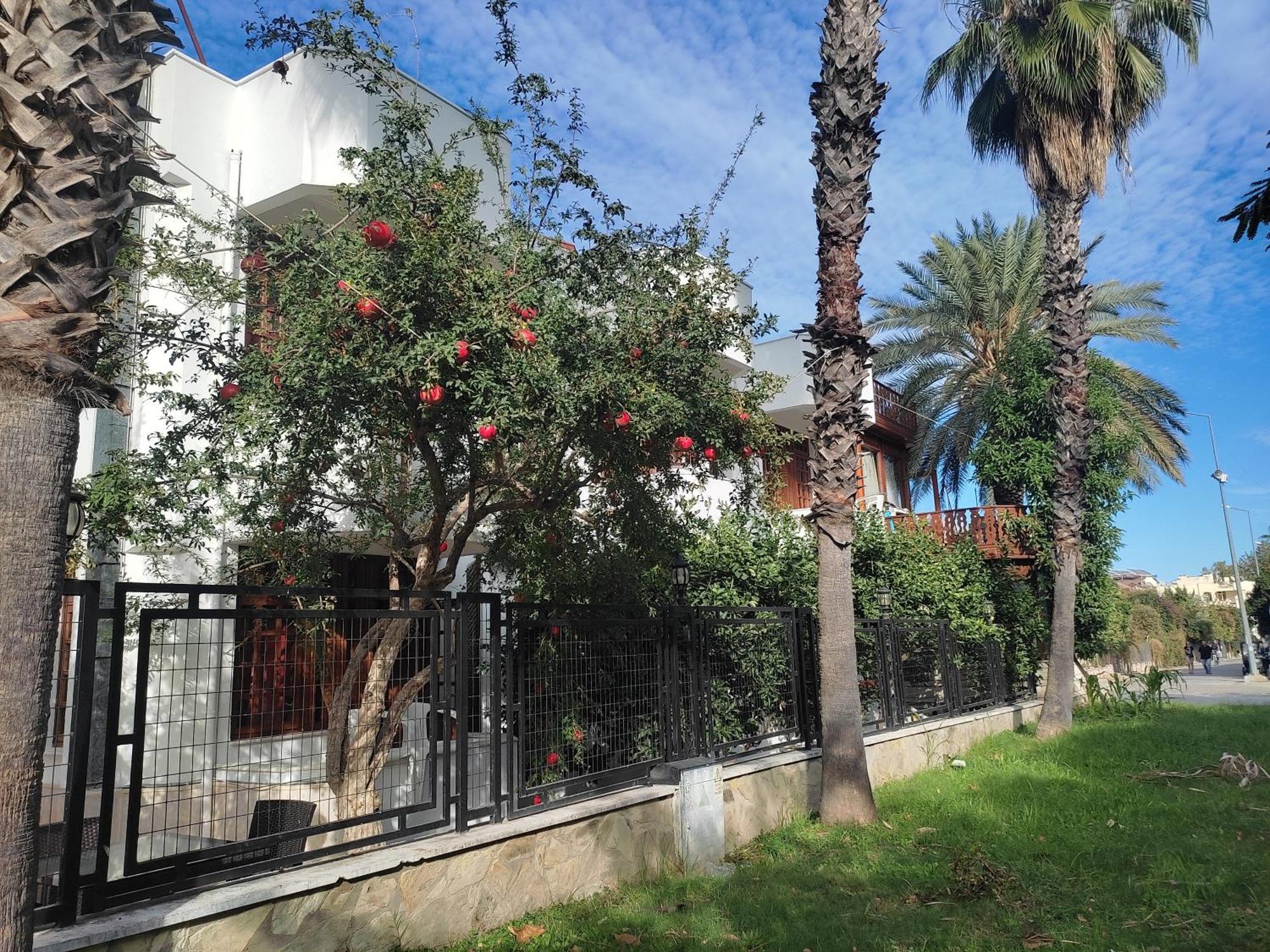Garden Prizma Rooms&Aparts Kemer Chambre photo